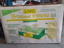 Frühbeet