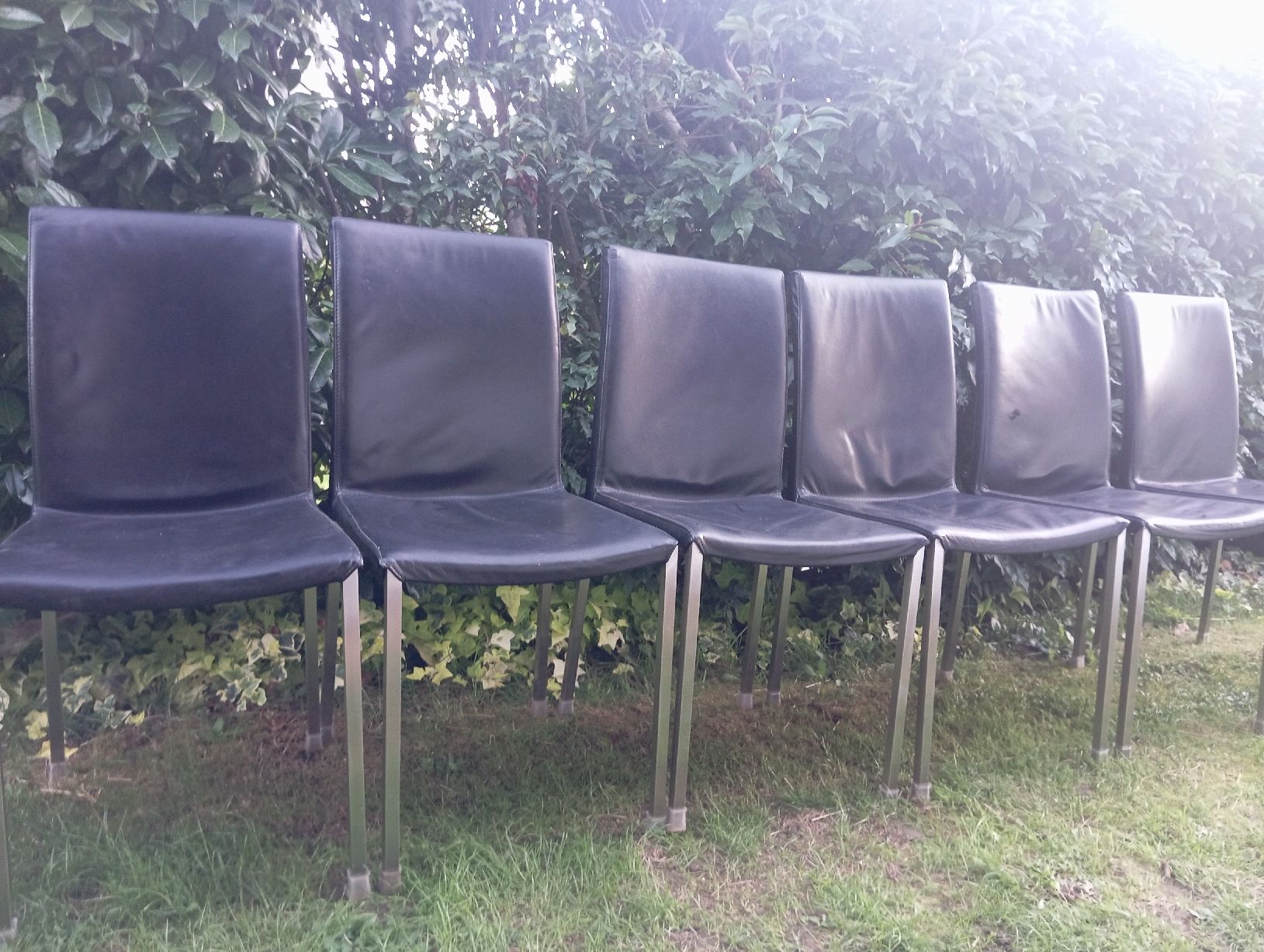 Pfister Stühle: Stühle  – Gebraucht aus Ruswil von Kile2 1