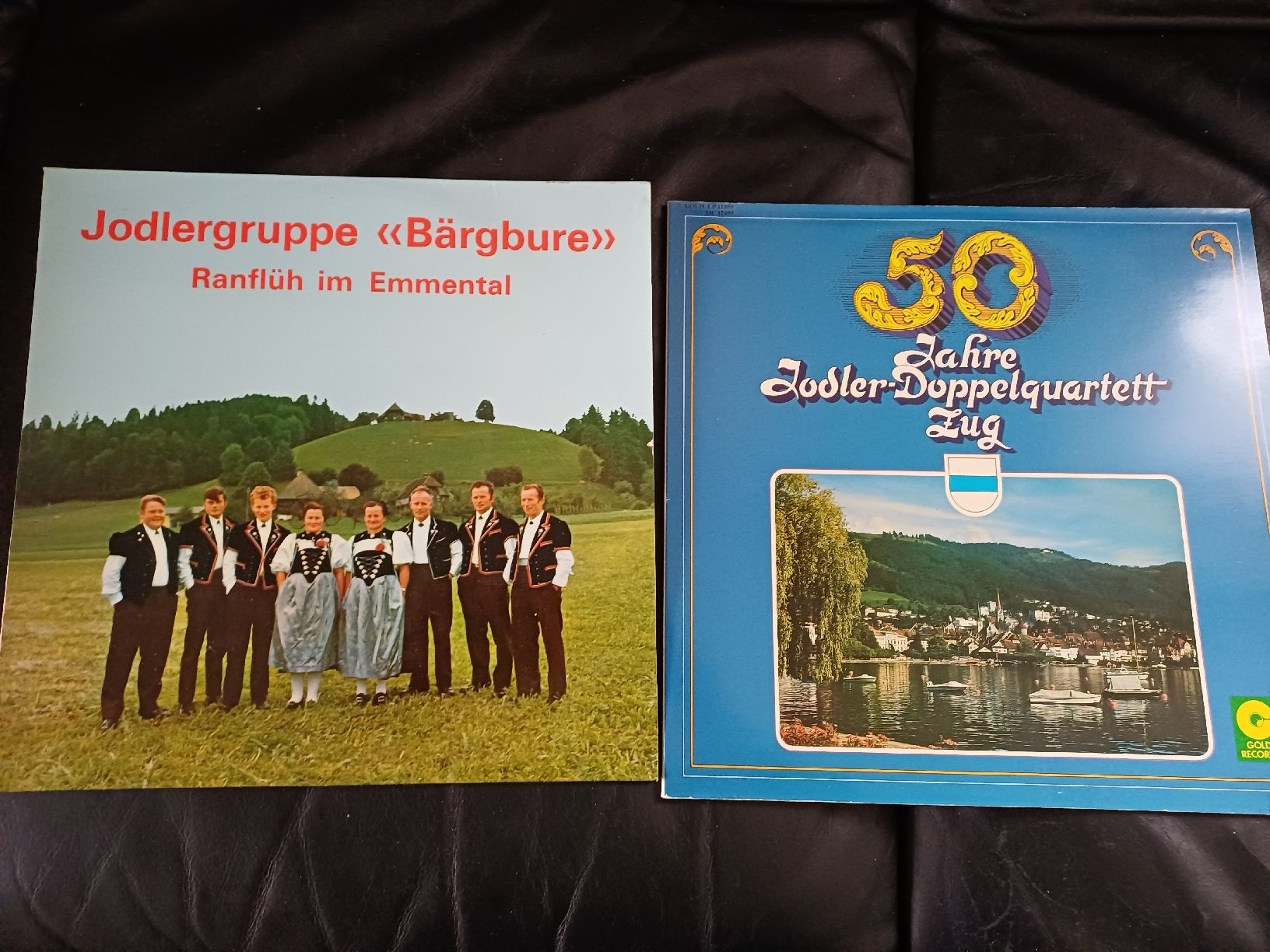 Dischi in vinile: Schallplatten-Sammlung Schweizer Jodelchöre, Folklore 8St. – Usato da Ebersecken venduto da Napf08 1