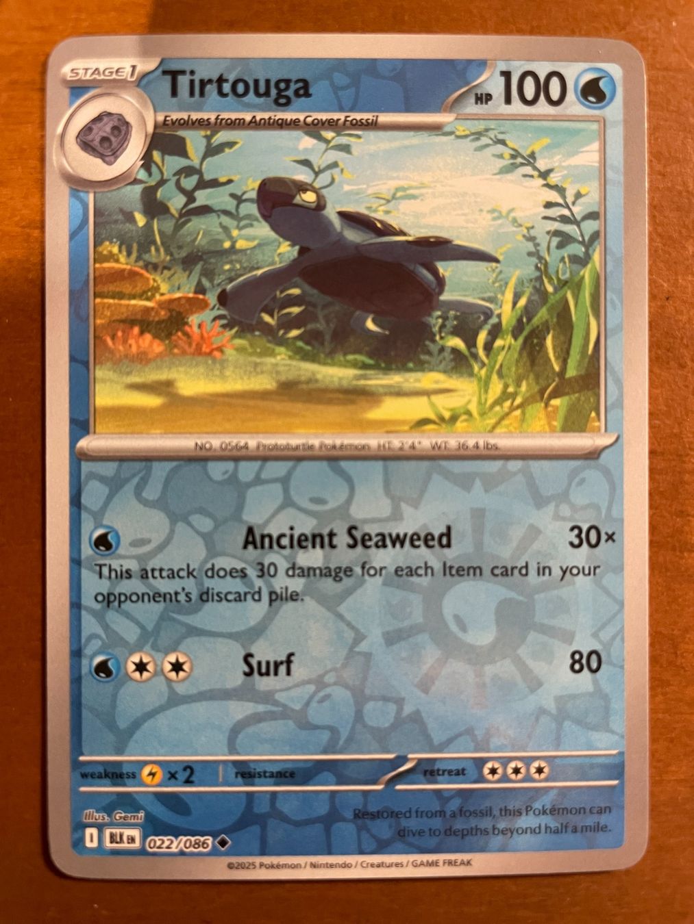 Pokémon Carte collezionabili: Pokemon Tirtouga Reverse (Versand gratis) – Nuovo (secondo la descrizione) da Chur venduto da Angerson