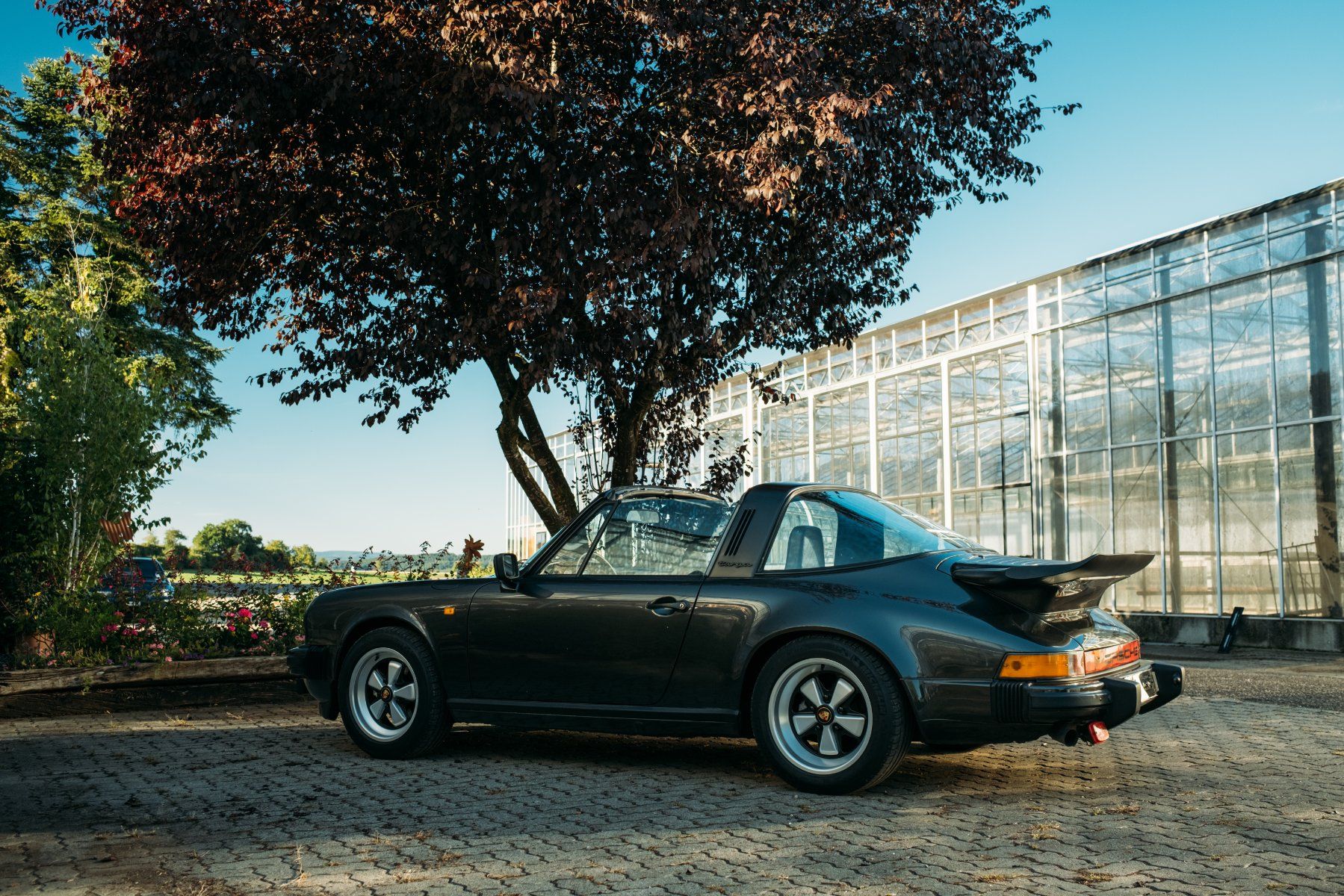 Porsche Automobili: Porsche 911 SC Targa – Usato da Höri venduto da Shoveldude1963 7