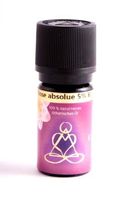 Rose absolue 5% 5 ml - ätherisches Öl