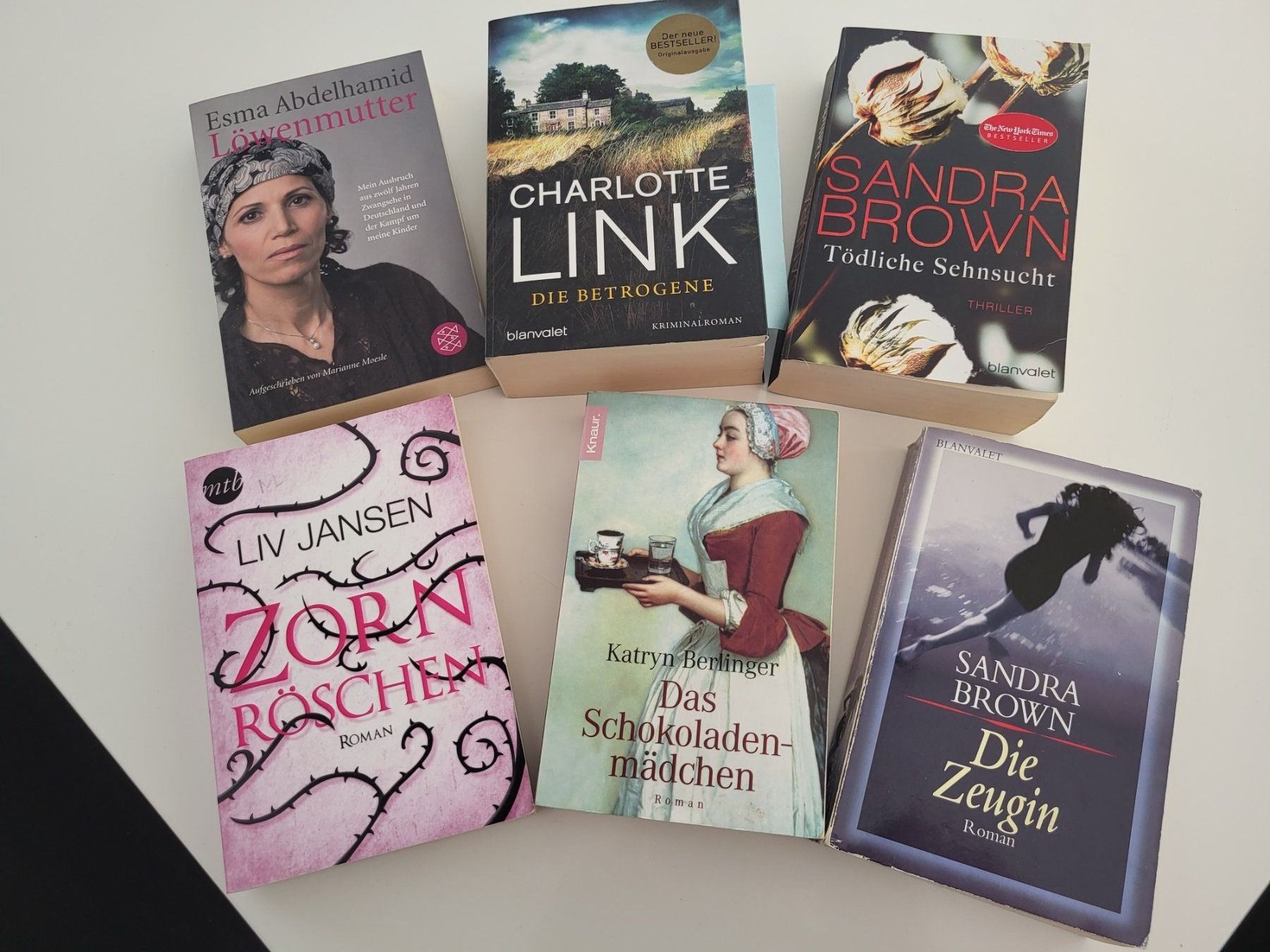 Libri: Bücher – Usato da Altnau venduto da RenaltoK