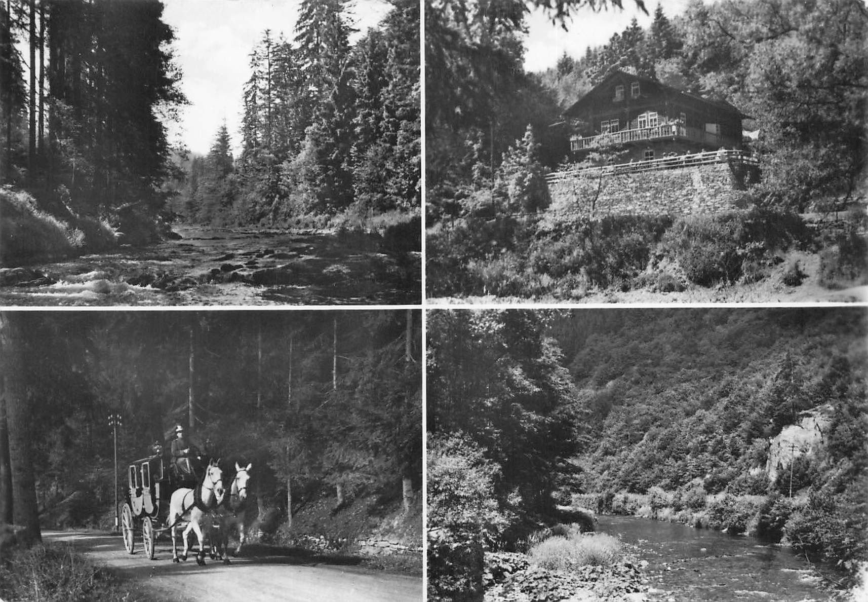 Cartoline postali: Schwarztal Tal mit Postkutsche und Bach G – Usato da Biasca venduto da Blenio71