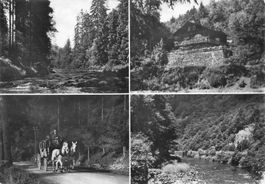 Schwarztal Tal mit Postkutsche und Bach G
