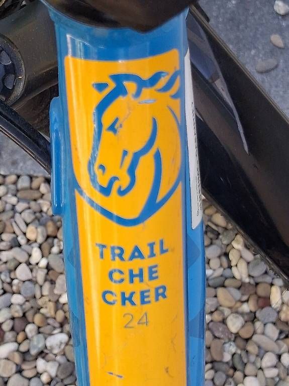 Biciclette: Mustang Jugendvelo Trailchecker – Usato da Basel venduto da Bernhard_C 2