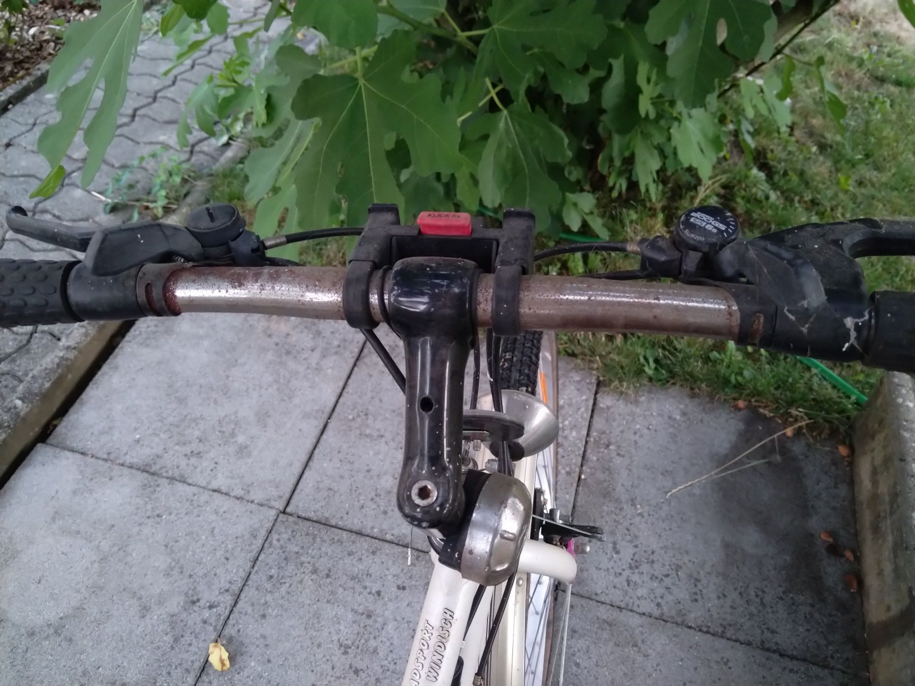 Cilo Vélos: Damenvelo Cilo – D'occasion à Veltheim AG par Cargoboy 1