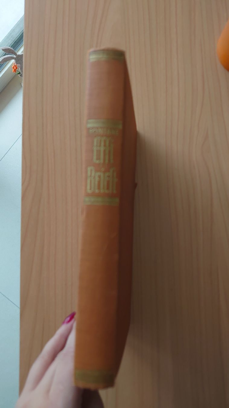 Livres: Effi Briest – D'occasion à Buchs SG par Looni-Maah 5