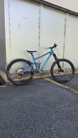 Norco Sight C7.1