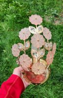 Wandlampe