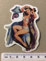 Pin up Pinup Girl Aufkleber Sticker Nr 45