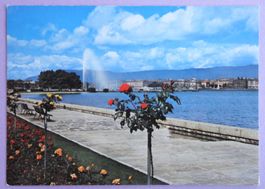 Genève - Quai G. Ador et le jet d'eau 130 m
