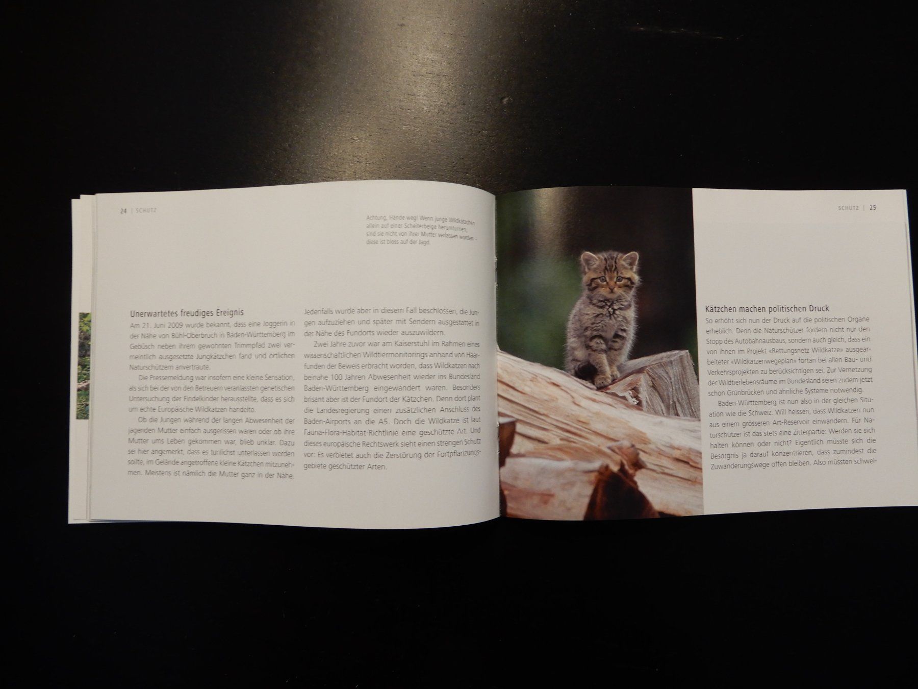 Libri: Wildkatzen Broschüre: Scheue Schatten – Usato da Erstfeld venduto da Mario_boe0 5