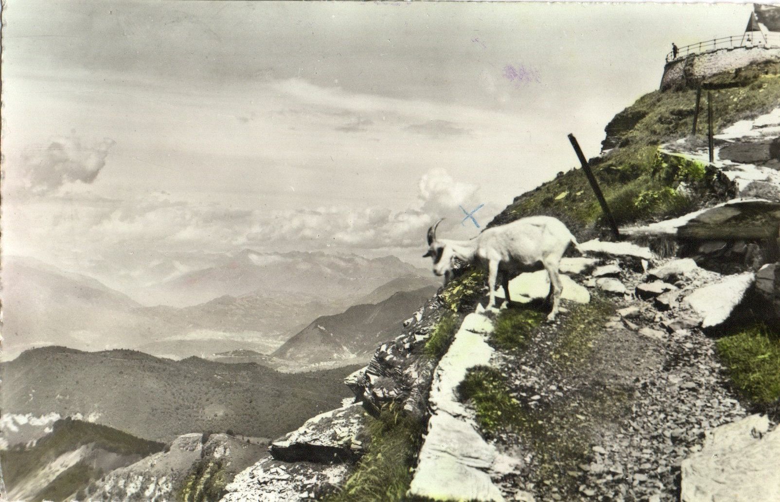 Cartoline postali: Monte Generoso - Vetta – Nuovo (secondo la descrizione) da Melano venduto da pisonsdro