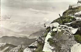 Monte Generoso - Vetta