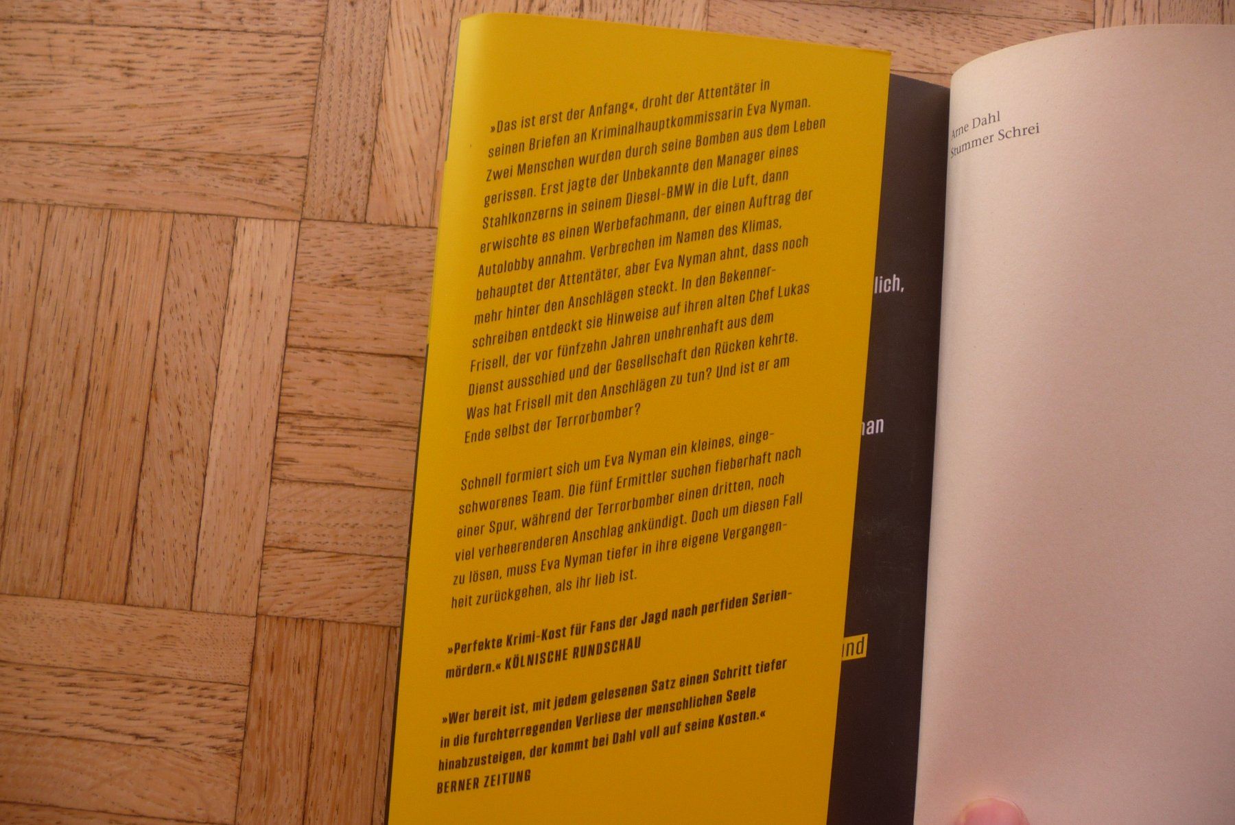 Libri: Arne Dahl, Stummer Schrei – Usato da Zürich venduto da Edje 2