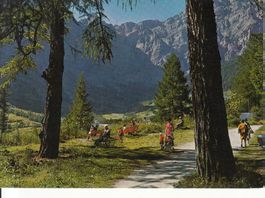 Leukerbad Waldweg 1971
