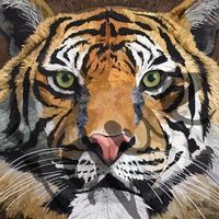Serviette sauvage tiger 25x25 (1523) 2Stk.