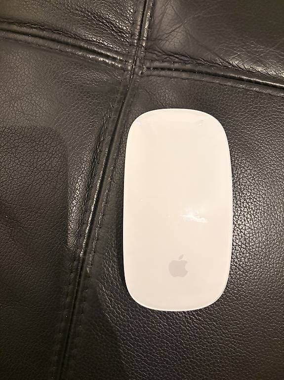 Mouse: Apple Magic Mouse (USB-C) – Usato da Genève venduto da tam_t5l2 3
