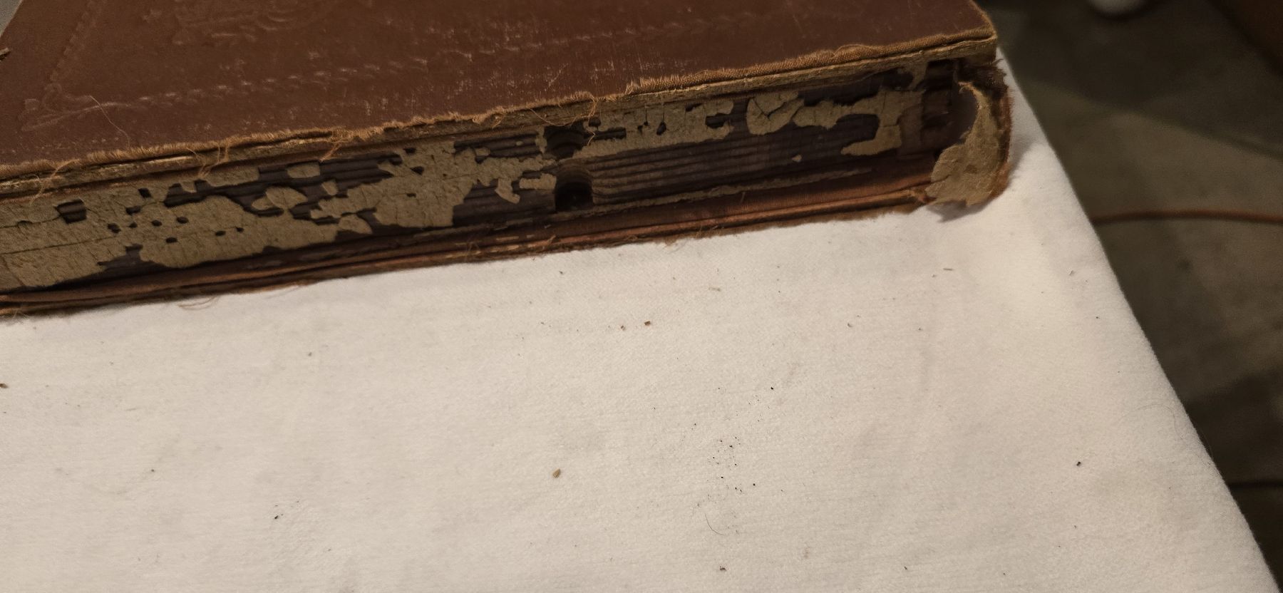 Schallplatten: Konvolut Album mit 12 Schellack Platten Schallplatten  – Gebraucht aus Basel von Jcva 8