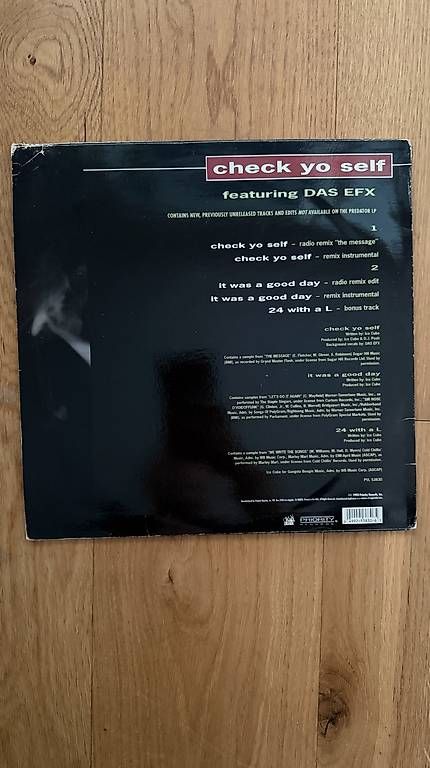 Dischi in vinile: Check Yo Self  Ice Cube feat. Das EFX  Vinyl Single – Usato da Düdingen venduto da Emphilly 2