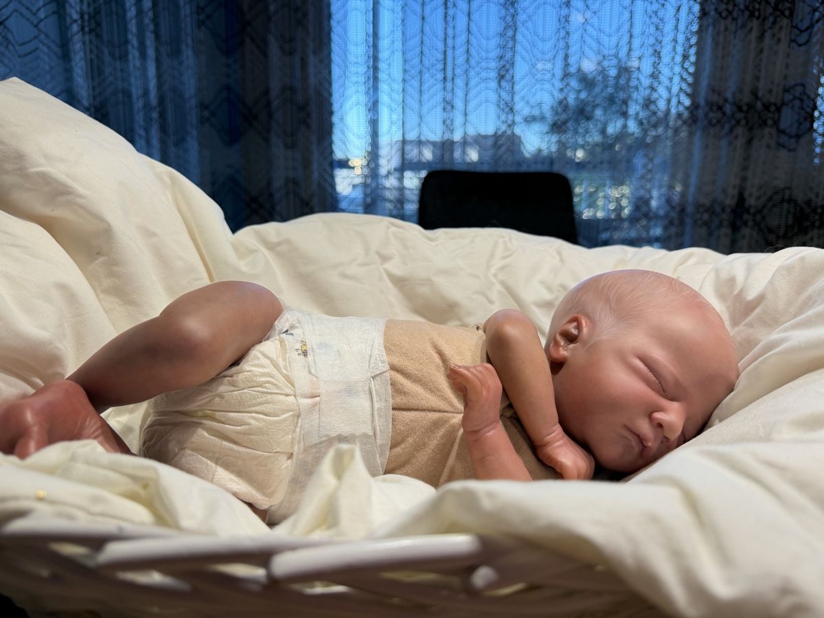 Reborn Puppen: Reborn – Neu (gemäss Beschreibung) aus Unterentfelden von van_m8g7 4