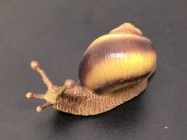 Suesse Schnecke Tierfigur Dekoration Garten Frühling 🐌😊...
