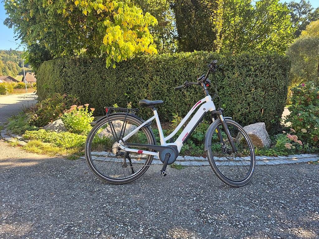 Biciclette: E Bike – Usato da Unterentfelden venduto da DFH 4