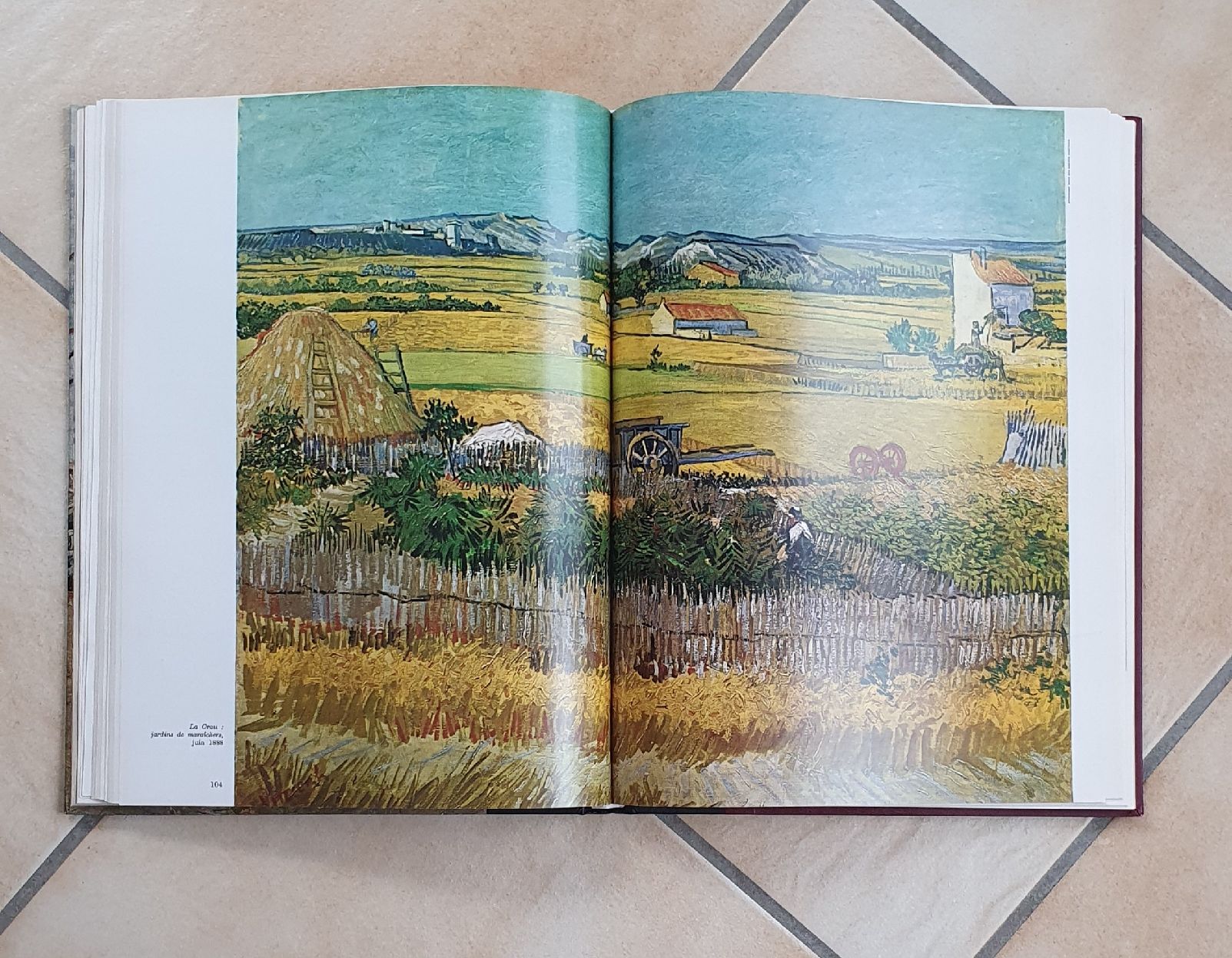Livres: Van Gogh avec son temps – D'occasion à Servion par meno999 5