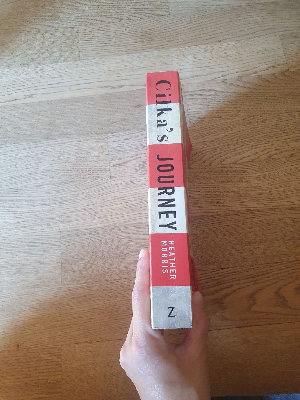 Libri: Cilka's Journey by Heather Morris book – Usato da Sirnach venduto da eftix 1
