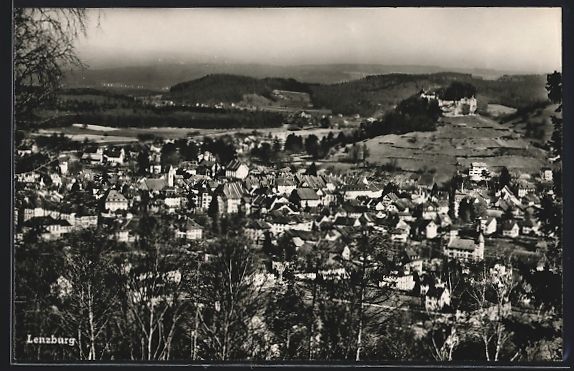 Cartoline postali: Lenzburg, Totalansicht aus der Vogelscha – Usato da Berlin venduto da bartko-reher