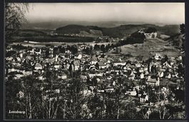 Lenzburg, Totalansicht aus der Vogelscha