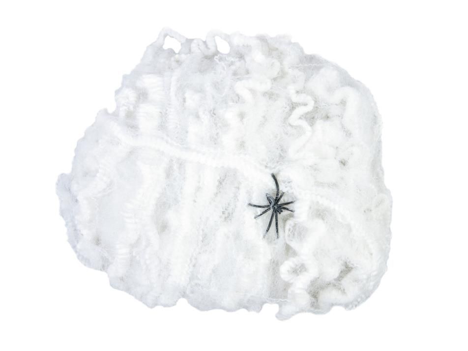 Piante e fiori finti: Halloween Spinnennetz weiß 50g – Nuovo e nell'imballaggio originale da Däniken SO venduto da Profog1 1