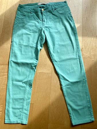 Hose
