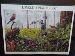 10 x US$ -.34 Longleaf Pine Forest 2001