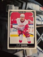 NHL Filip Zadina Detroit Red Wings