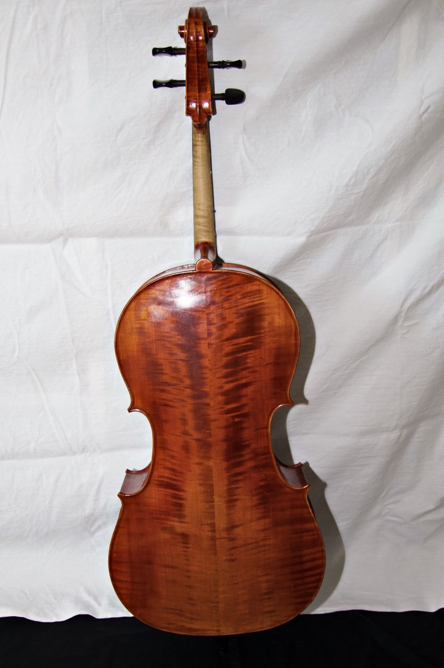 Strumenti musicali: Cello 1/2 – wunderschöner Klang, professionell eingestellt – Usato da Adliswil venduto da Doubleglass 4