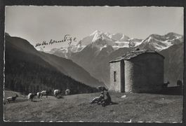 Grächen Hannig-Alp mit Ziegen