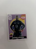 Panini Sticker Moises Caicedo Ecuador Nr 23 neu