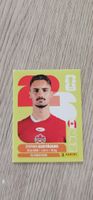 Fifa World Cup Panini CAN 10