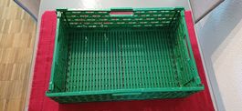 Plastikbox grün
