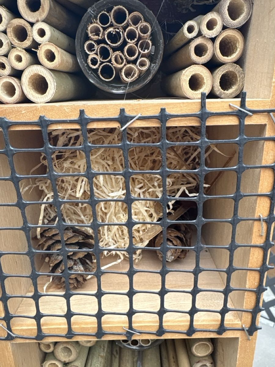 Alveari: Insektenhotel XXL – Nuovo (secondo la descrizione) da Knonau venduto da Kaktus122 3
