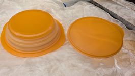Tupperware 1 Behälter Schüssel faltbar orange 1.5l