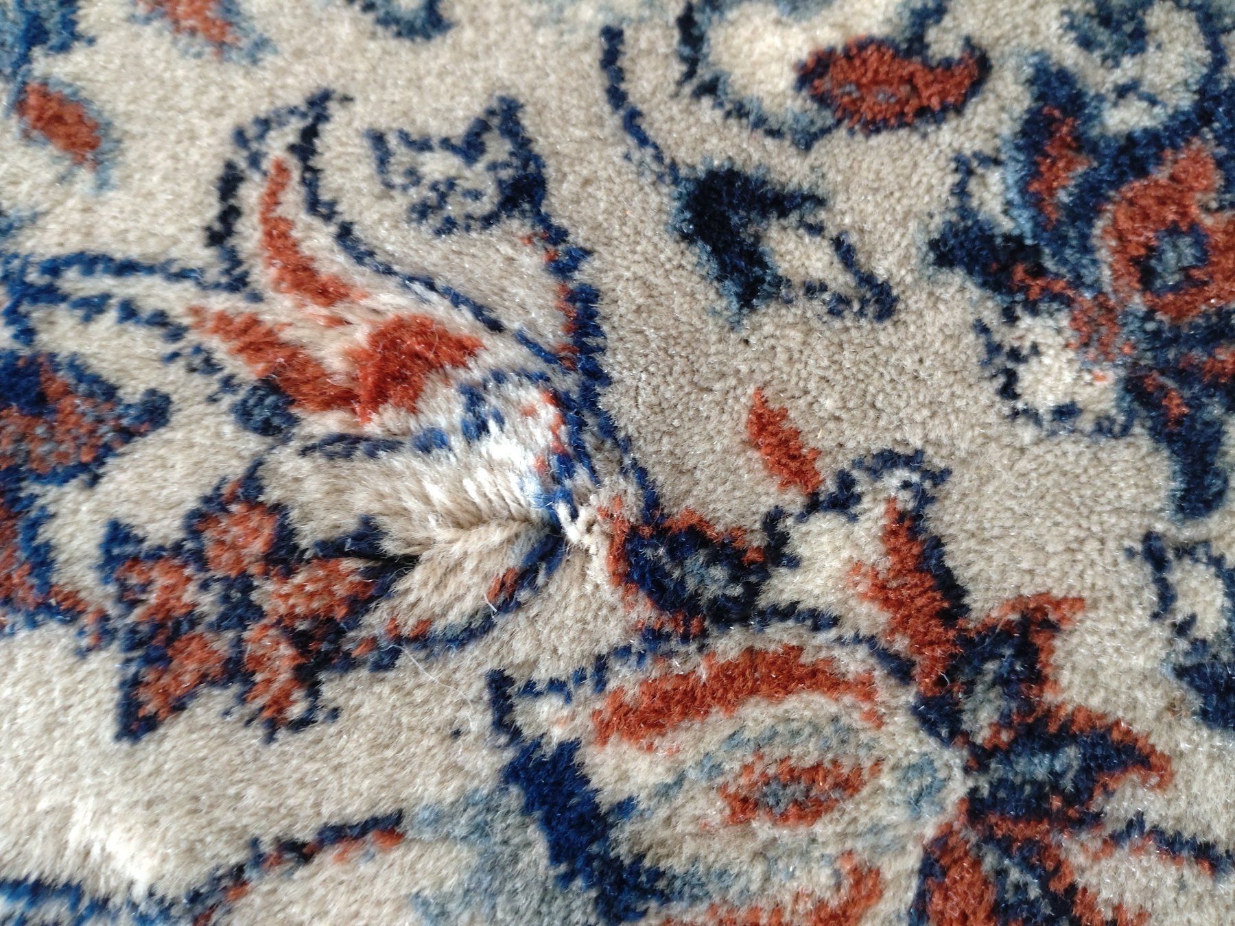 Tappeti: Teppich blau – Usato da Lenzburg venduto da cloud04 2