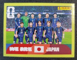 Panini - JPN 13