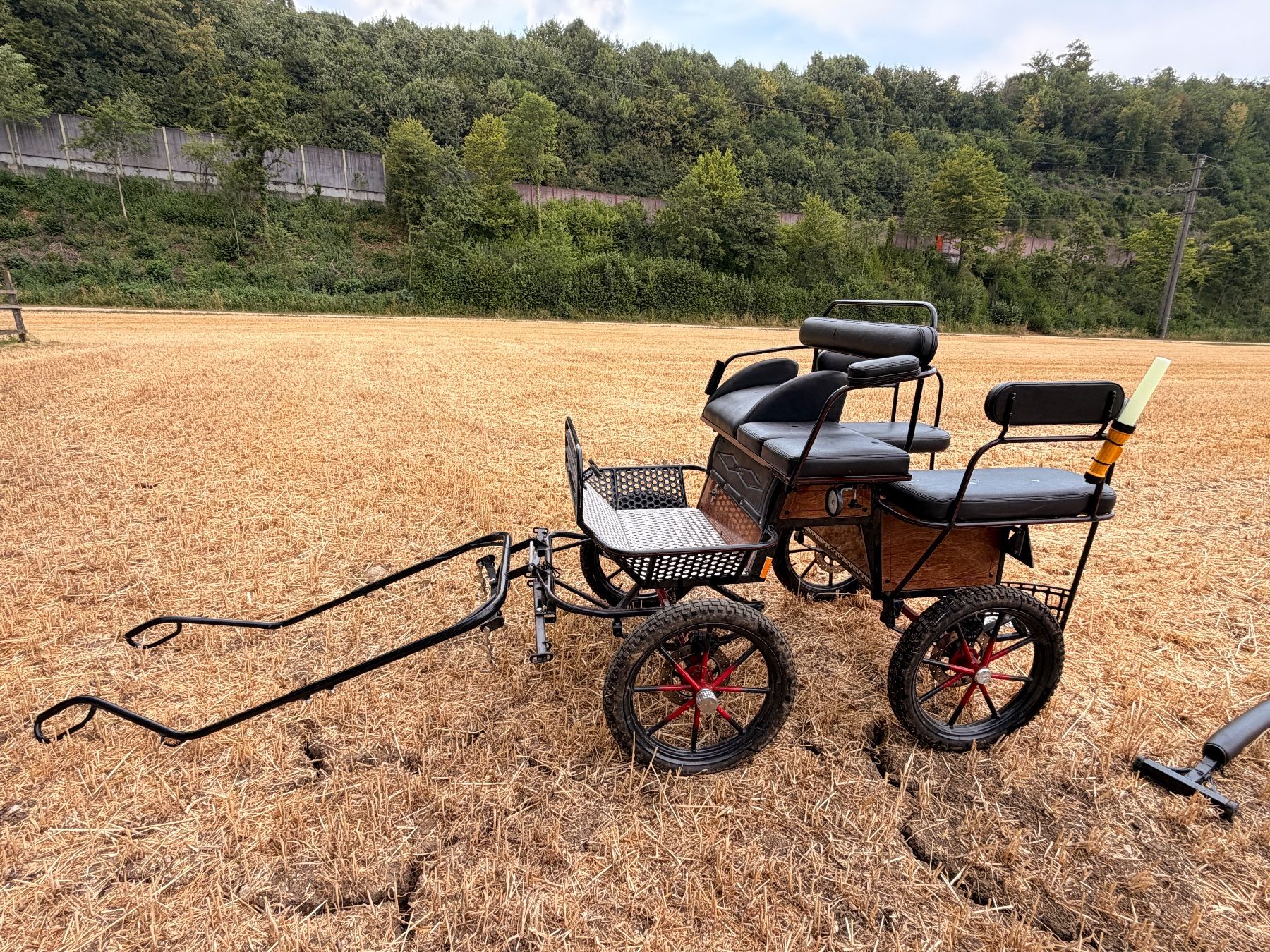 Carrozze: Pony-Kutsche / Marathon-Wagonette Glinkowksi – Usato da Diegten venduto da M.eseli