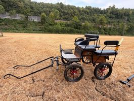 Pony-Kutsche / Marathon-Wagonette Glinkowksi