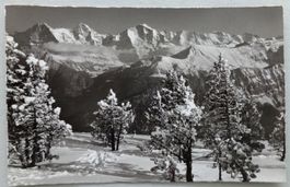 Beatenberg, Niederhorn : Eiger - Mönch - Jungfrau