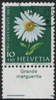 10 Rp. Grosse Margerite mit TAB (Grande marguerite)