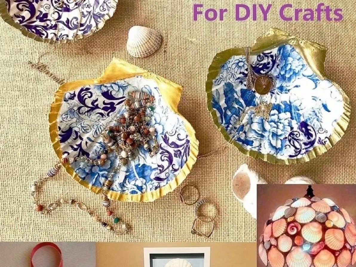 Alle Dekorationen: Real Scallop Shells Muscheln – Neu und originalverpackt aus Zürich von agichristine 5